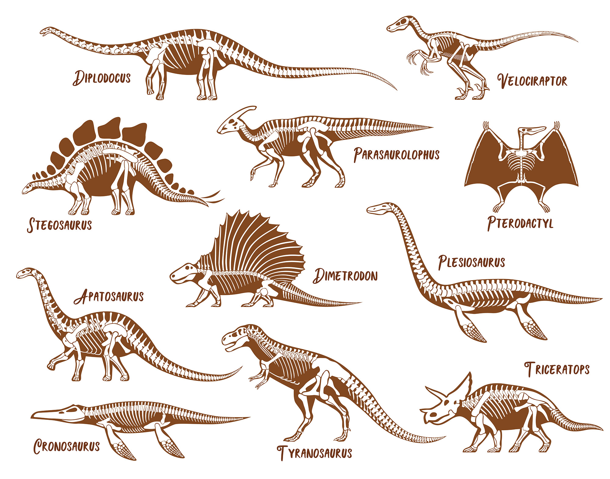 Tous les dinosaures les plus connus